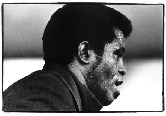 James Brown at Newport, July, 1969 - Morrison Hotel Gallery