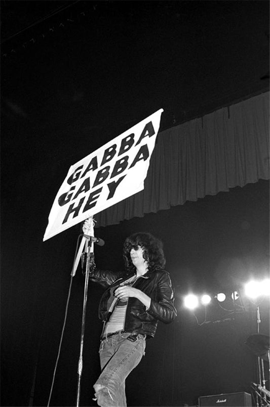 Joey Ramone, Ramones - Morrison Hotel Gallery