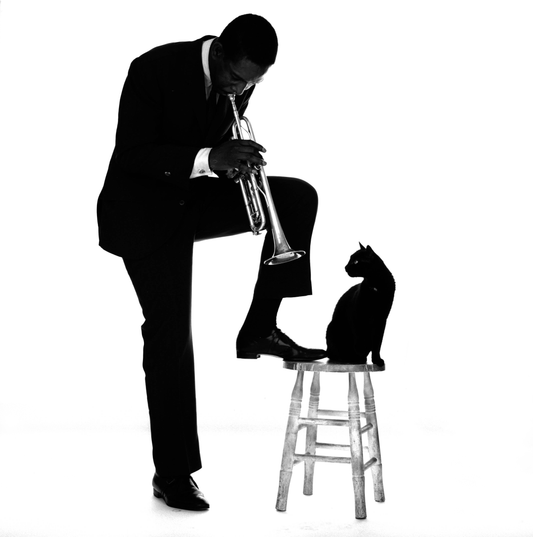 Kenny Dorham, Jazz Cat, 1960 - Morrison Hotel Gallery