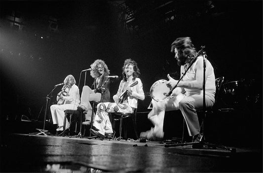 Led Zeppelin, 1977 - Morrison Hotel Gallery