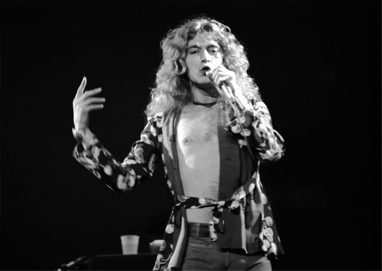Led Zeppelin, Robert Plant, 1975 - Morrison Hotel Gallery