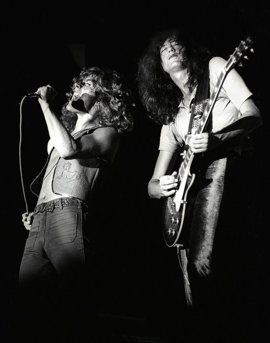 Led Zeppelin, Texas Pop Music Festival, 1969 - Morrison Hotel Gallery