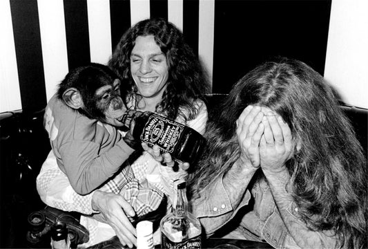 Lynyrd Skynyrd, Monkey with a Bottle of Jack Daniels, NYC, 1976 - Morrison Hotel Gallery