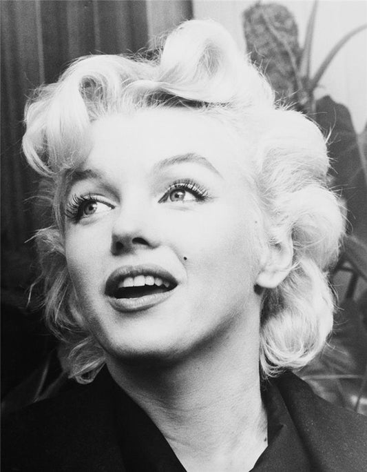 Marilyn Monroe, Portrait, 1956 - Morrison Hotel Gallery