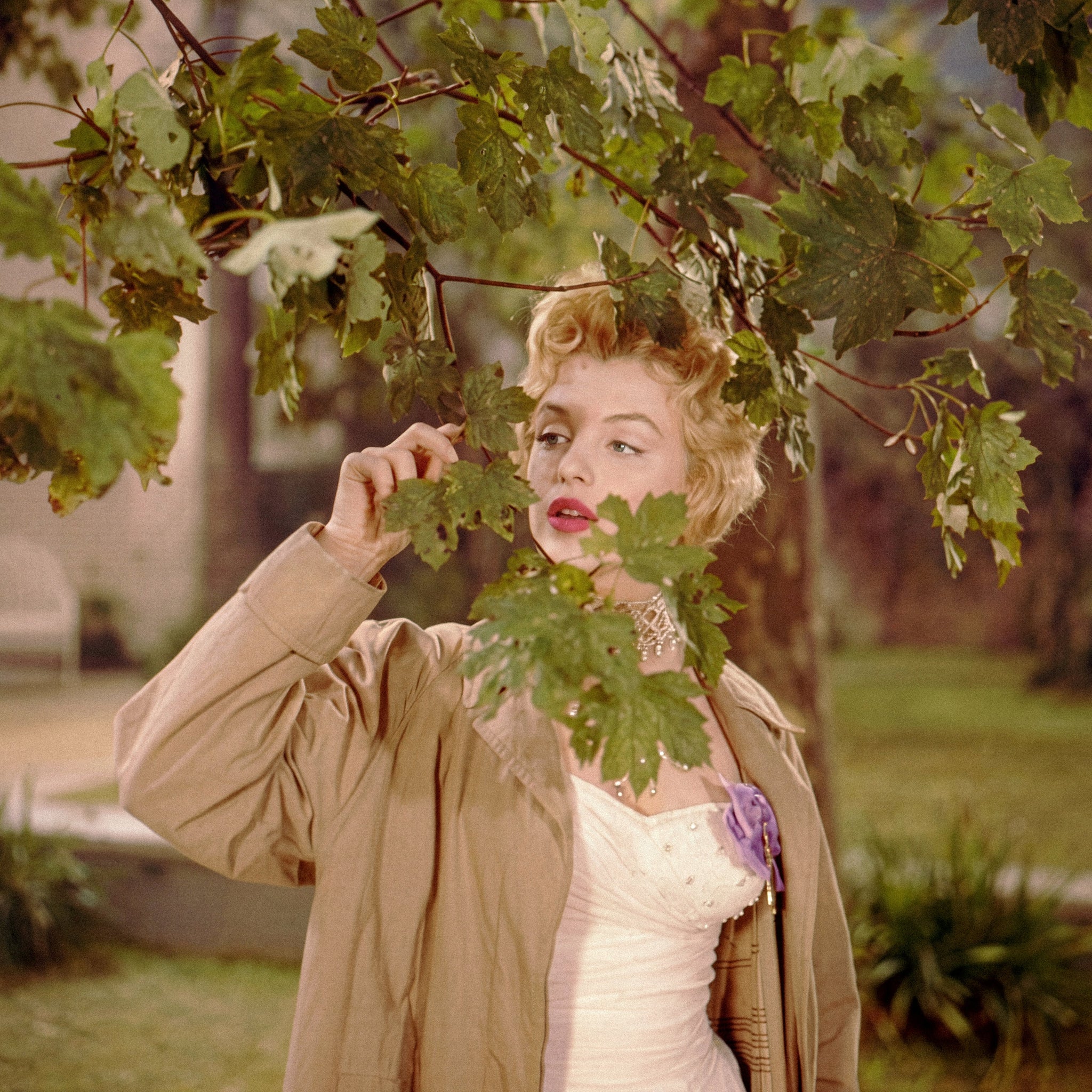 Marilyn Monroe, The Prince & The Showgirl, 1956 - Morrison Hotel Gallery