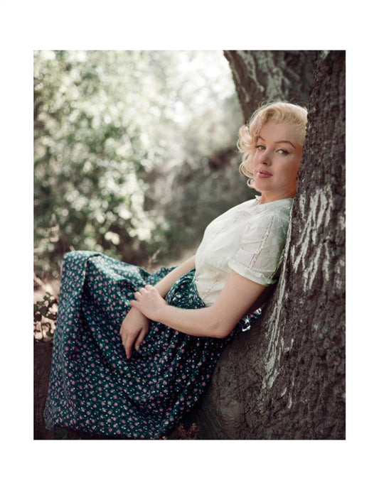 Marilyn Monroe, The Tree Sitting, 1953 - Morrison Hotel Gallery