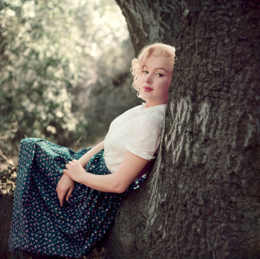 Marilyn Monroe, The Tree Sitting, 1953 - Morrison Hotel Gallery