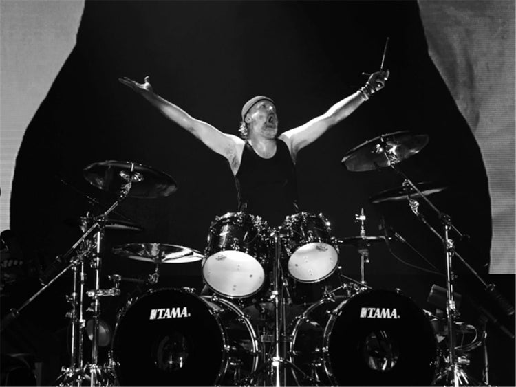 Metallica, Lars Ulrich, Flies - Morrison Hotel Gallery