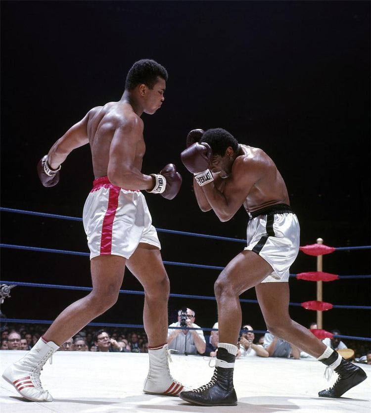 Muhammad Ali vs. Ernie Terrell, 1967 - Morrison Hotel Gallery