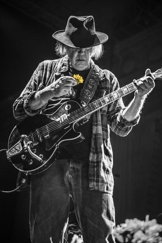 Neil Young, Promise of the Real, Noise & Flowers - Morrison Hotel Gallery