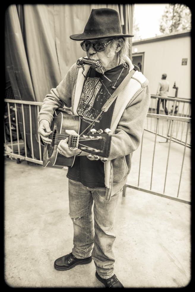 Neil Young, Shoreline Amphitheatre, Mountain View, CA, October 27, 2013 - Morrison Hotel Gallery