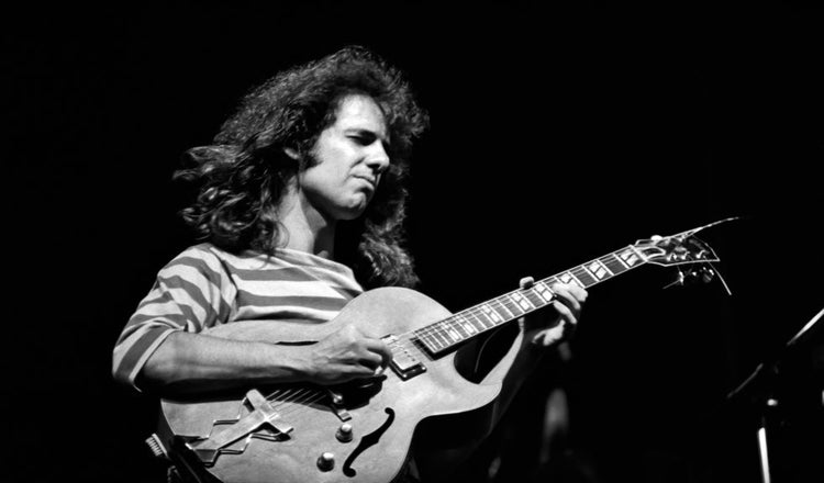 Pat Metheny, 1982 - Morrison Hotel Gallery