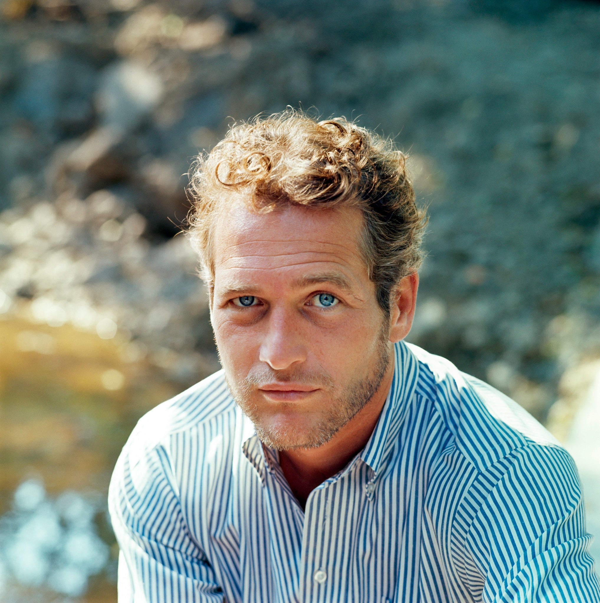 Paul Newman, Connecticut, 1964 - Morrison Hotel Gallery