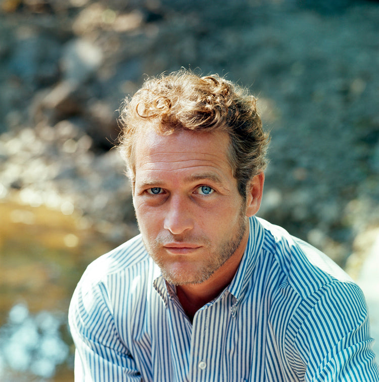 Paul Newman, Connecticut, 1964 - Morrison Hotel Gallery