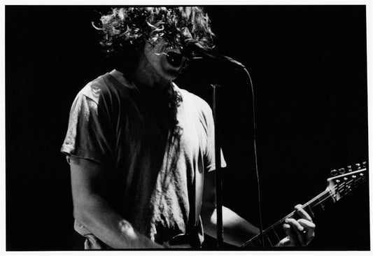 Pearl Jam, Eddie Vedder, Red Rocks, 1995 - Morrison Hotel Gallery