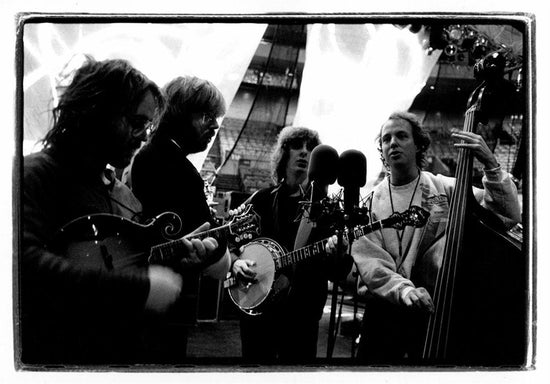 Phish - Morrison Hotel Gallery