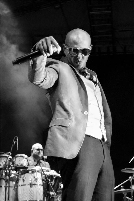 Pitbull, Get Down - Morrison Hotel Gallery