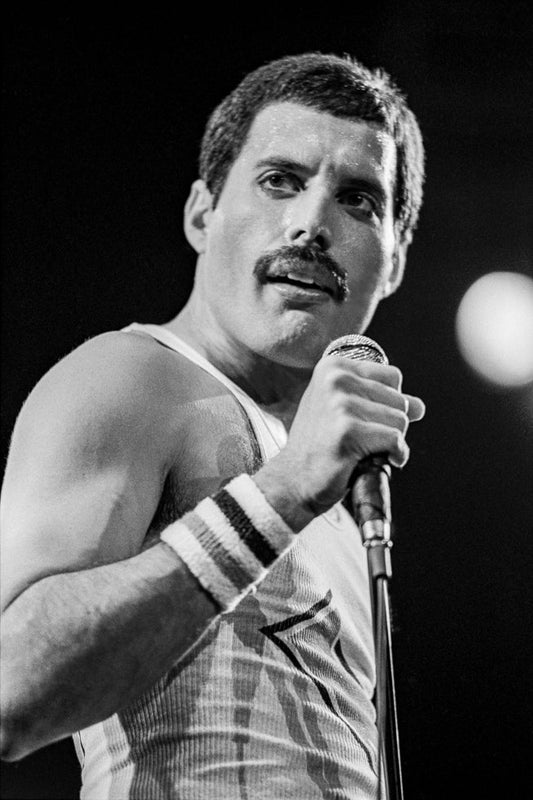 Queen, Freddie Mercury, On Stage, 1982 - Morrison Hotel Gallery