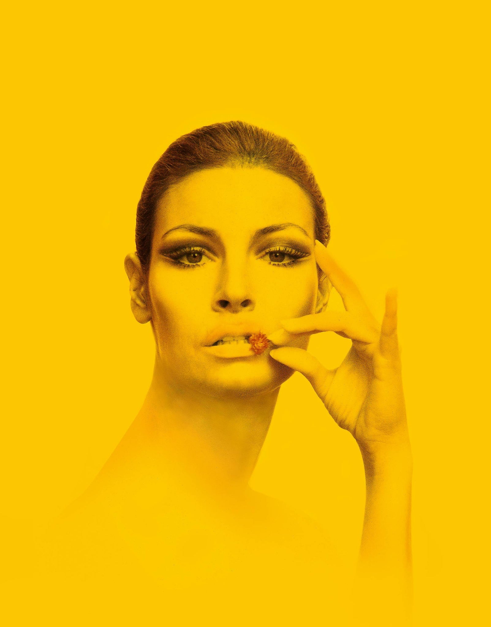 Raquel Welch, 1969 - Morrison Hotel Gallery