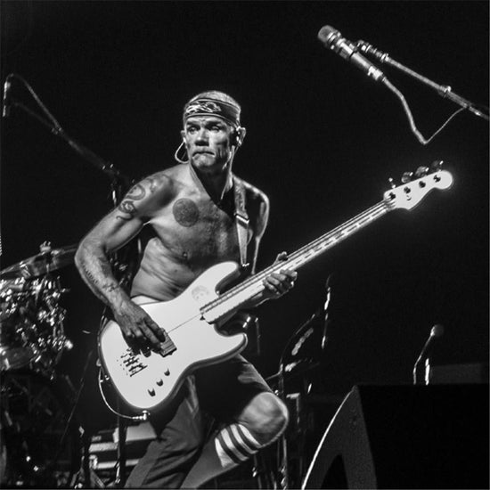 Red Hot Chili Peppers, Flea, Apache - Morrison Hotel Gallery
