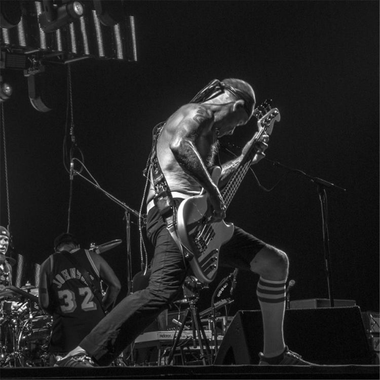 Red Hot Chili Peppers, Flea, Bass Pugilist - Morrison Hotel Gallery