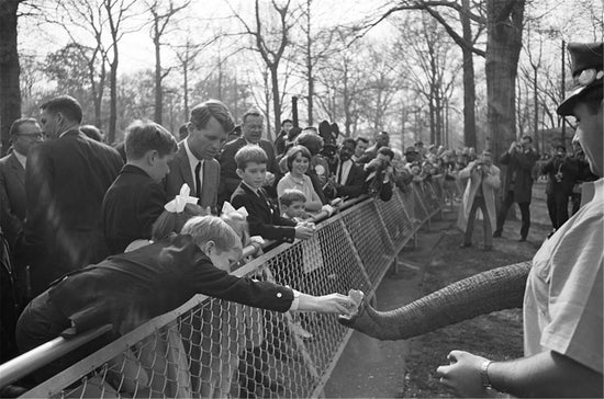Robert F. Kennedy, Bronx Zoo, NY, 1968 - Morrison Hotel Gallery
