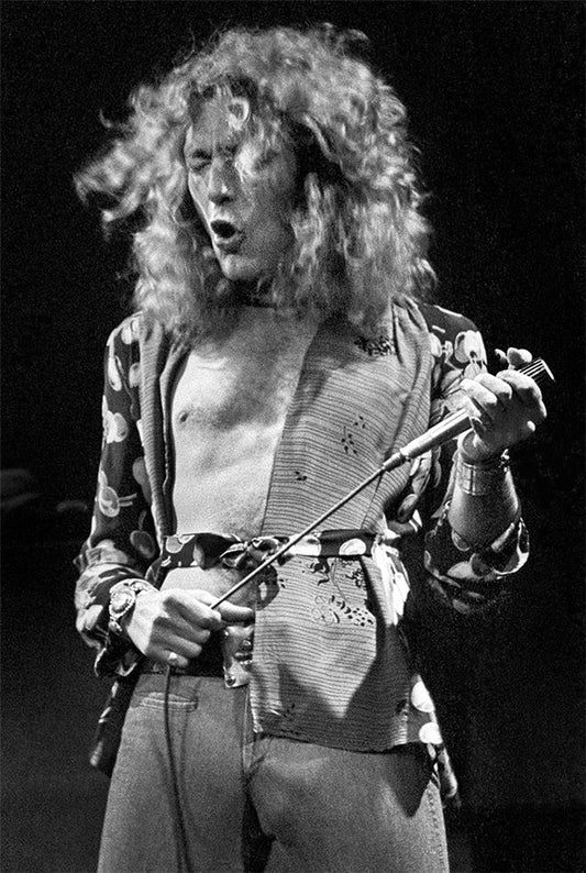 Robert Plant, 1975 - Morrison Hotel Gallery