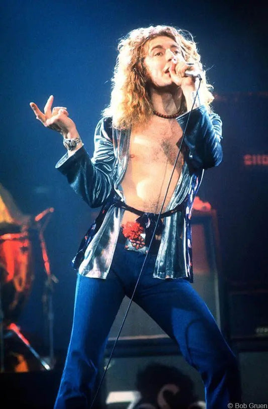 Robert Plant, Led Zeppelin, NYC, 1975 - Morrison Hotel Gallery