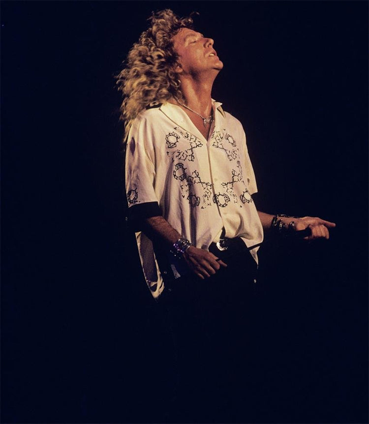 Robert Plant, Led Zeppelin - Morrison Hotel Gallery