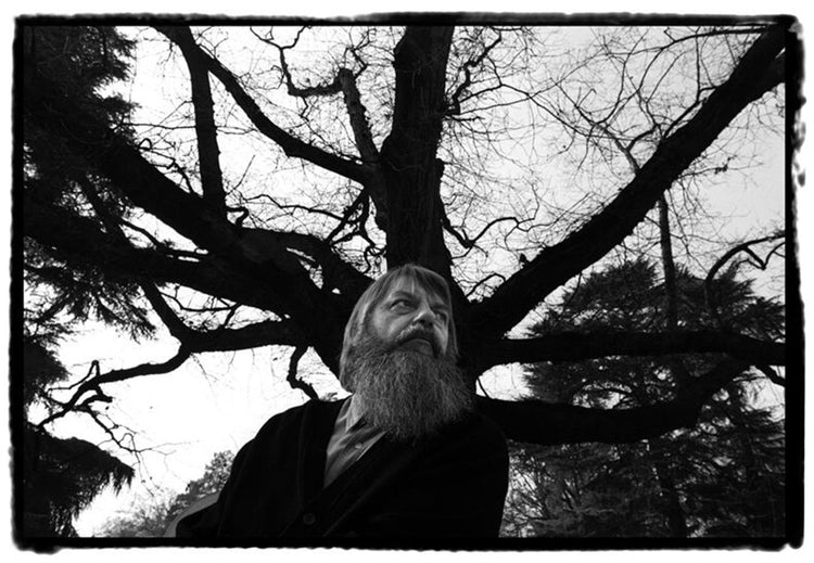 Robert Wyatt, Milan, 1994 - Morrison Hotel Gallery