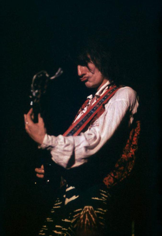 Ron Wood - Morrison Hotel Gallery