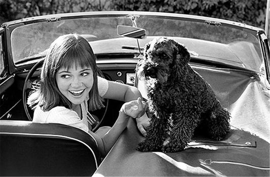 Sally Field and Mother's Dog - Morrison Hotel Gallery