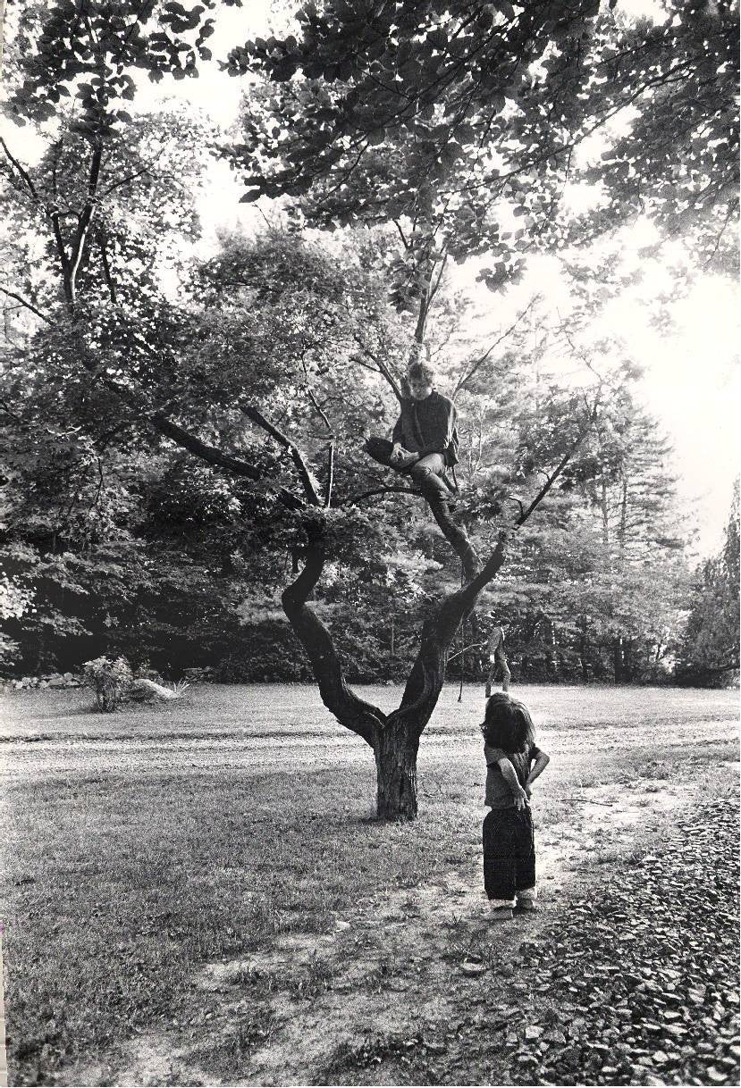 Selects, Series of 2, 1964 | 1965 - Morrison Hotel Gallery