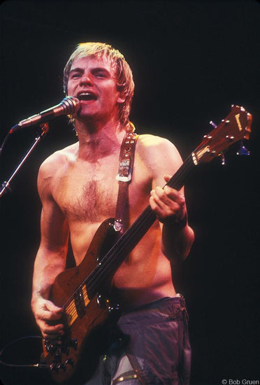 Sting, Hamburg, Germany 1980 - Morrison Hotel Gallery