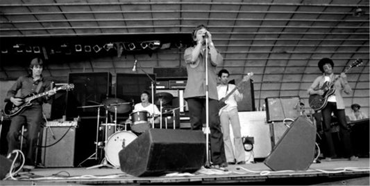 The Animals, Delft, Netherlands, 1976 - Morrison Hotel Gallery