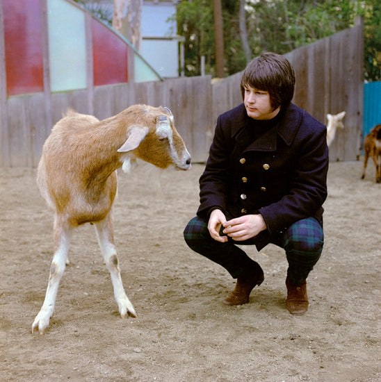 The Beach Boys, Pet Sounds - Brian & Goat - Morrison Hotel Gallery