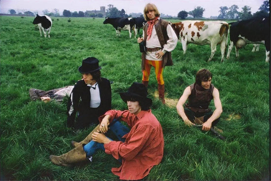 The Rolling Stones in Field with Cows, Beggars Banquet, Swarkestone Hall Pavilion, Derbyshire, England, 1968 - Morrison Hotel Gallery