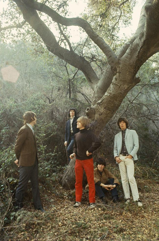 The Rolling Stones, in the forest - Morrison Hotel Gallery