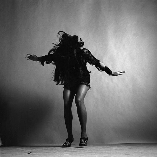 Tina Turner, 1969 - Morrison Hotel Gallery