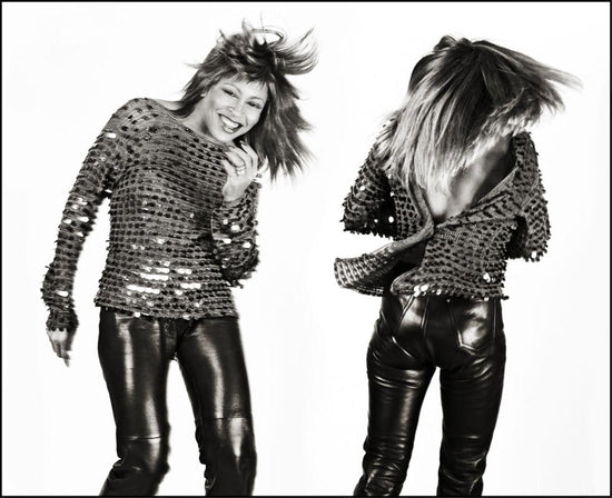 Tina Turner Diptych - Morrison Hotel Gallery