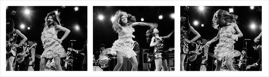 Tina Turner "Force of Nature" Triptych, LA Forum, 1969` - Morrison Hotel Gallery